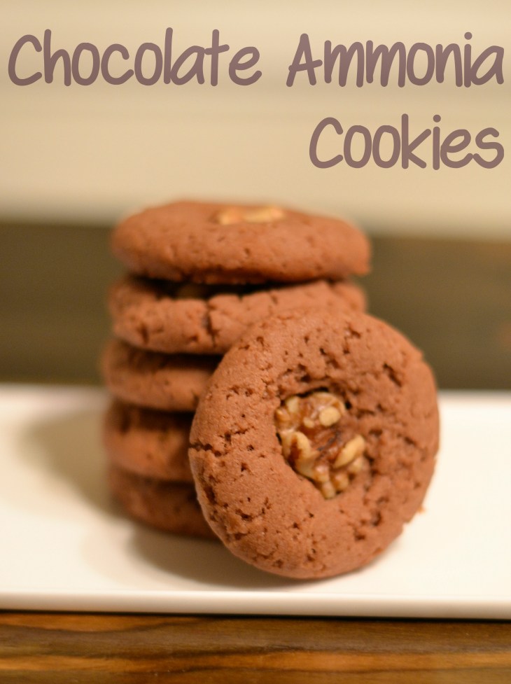 Chocolate Ammonia Cookies